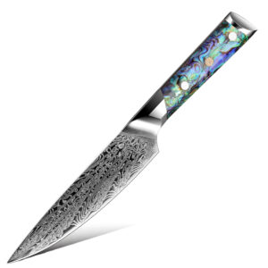 Couteau utilitaire Grandsharp – 5 pouces, 67 couches, acier damassé, AUS10