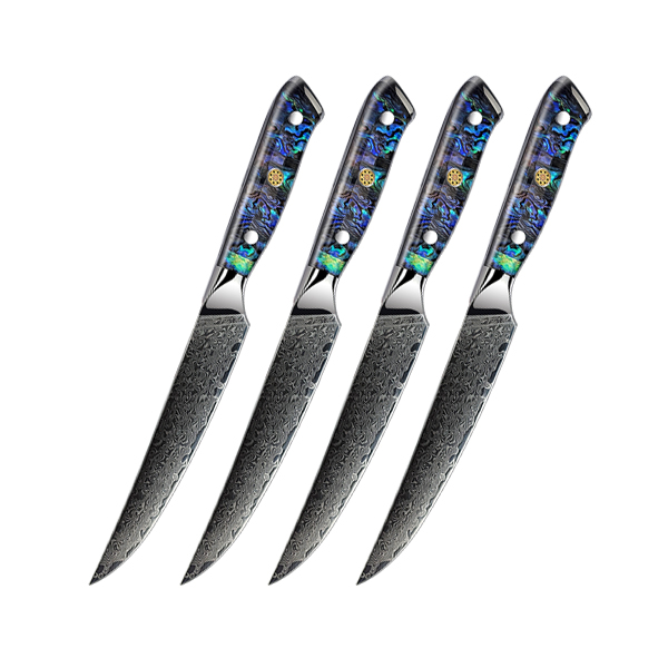 Ensemble de couteaux Grandsharp – 4 pièces, 67 couches, acier damassé