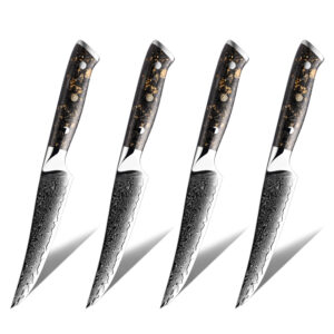 Ensemble de couteaux Grandsharp – 4 pièces, 67 couches, acier damassé