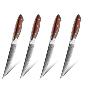 Ensemble de couteaux Grandsharp – 4 pièces, 67 couches, acier damassé, AUS10