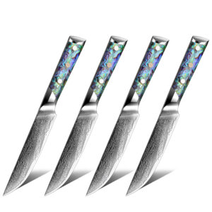 Ensemble de couteaux Grandsharp – 4 pièces, 67 couches, acier damassé