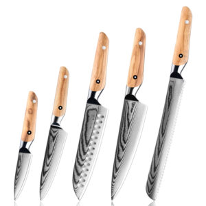 Ensemble de couteaux Grandsharp – 5 pièces, 67 couches, acier damassé