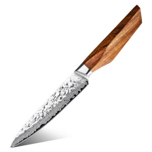 Couteau utilitaire Grandsharp – 5 pouces, 67 couches, acier damassé, AUS10