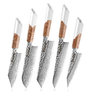 Ensemble de couteaux Grandsharp – 5 pièces, 67 couches, acier damassé, AUS10